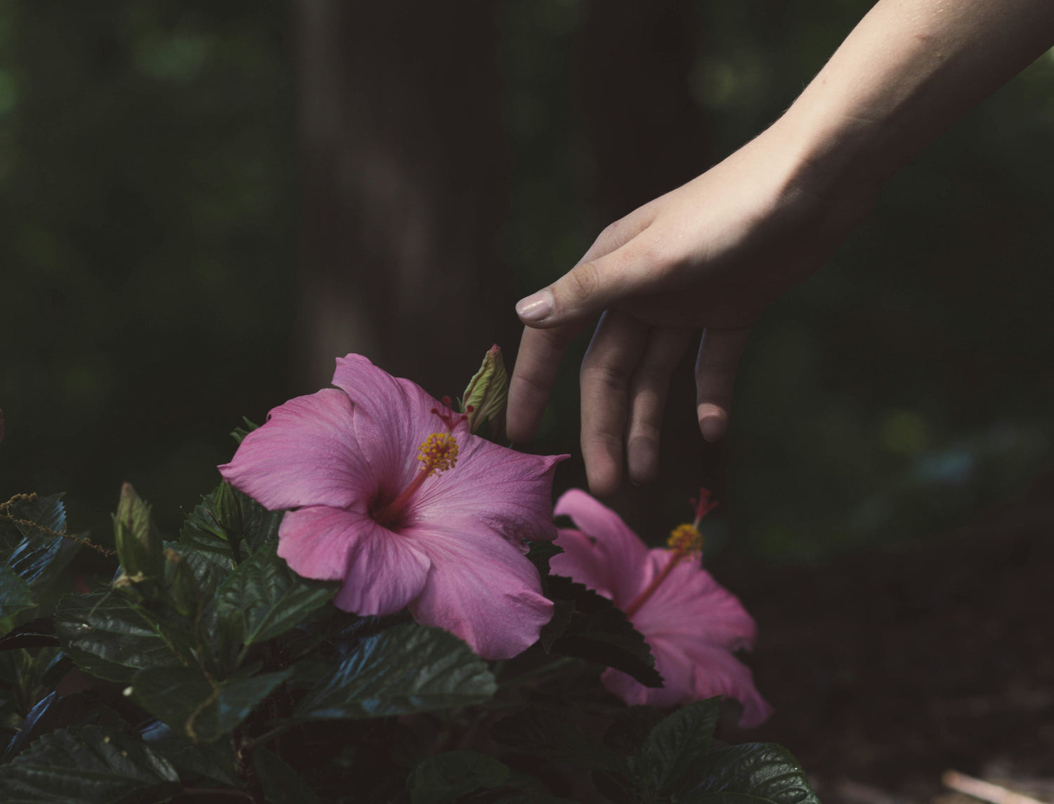 For You